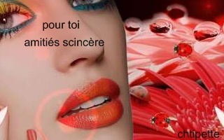 Merci chipette